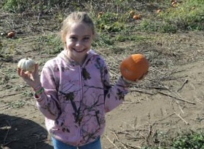 a little girl holds up two small pumpkins and smiles